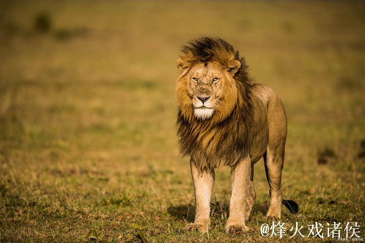 莱默尔:用脚后跟破门让我无比喜悦 莱默尔:用脚后跟破门让我无比喜悦